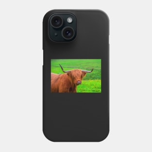 Highland Cow closeup Phone Case