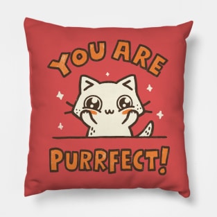 You are Purrfect Pillow