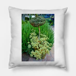 Sherman Gardens Study 10 Pillow