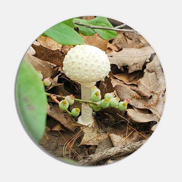 American Fly Agaric Pin by etherealwonders