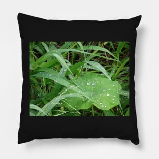Rain On Grass Pillow