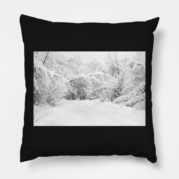 Winter in Bramberg Austria Pillow by robelf