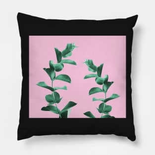 Eucalyptus Pillow