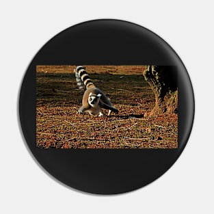 Flight of the Lemur Pin