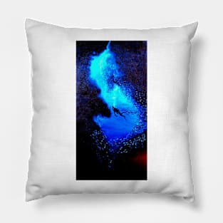 DIVER SWIMMING INTO A CAVE WITH GLASSFISH Pillow