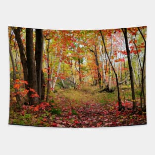 Beautiful Fall Tapestry