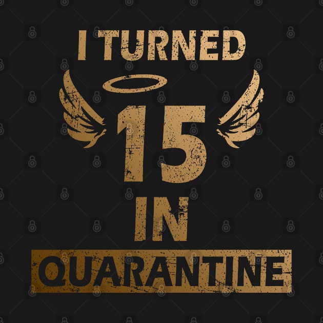 I Turned 15 In Quarantine Birthday Gift by MFK_Clothes