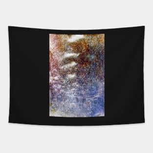Consensus | Textured abstract Tapestry