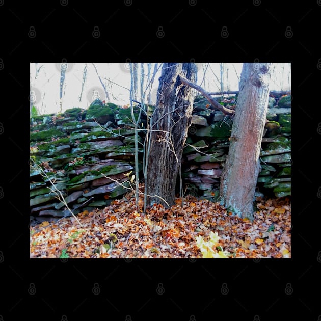 Old mossy rock wall in the forest by Edwardtiptonart