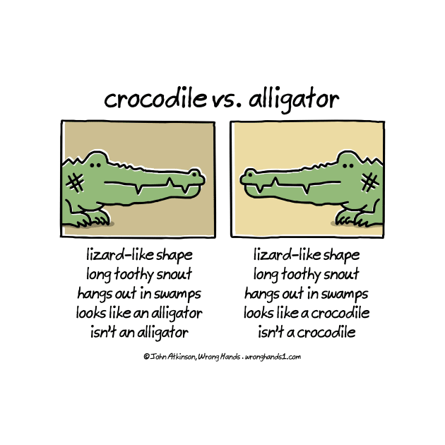 Crocodile vs Alligator by WrongHands