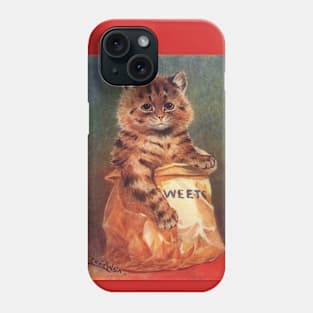 Cat in a Sweet Sack Phone Case