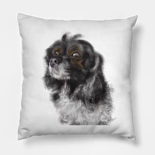 Black and White Clever Dog Pillow