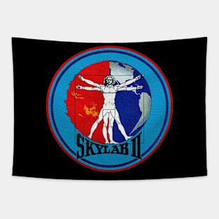 Black Panther Art - NASA Space Badge 103 Tapestry