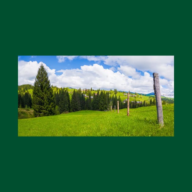 Carpathians village panorama by psychoshadow