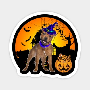 Happy Halloween Staffordshire Bull Terrier Dogs Halloween Gift Magnet