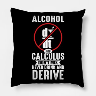 Don't Drink And Derive Math Teacher Joke Mathematician Pillow