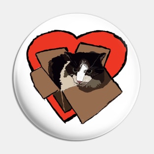 Box Cat Heart Pin