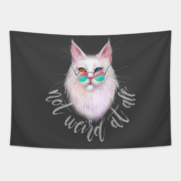 White Maine Coon Cat With Different Colored Eyes And Calligraphy