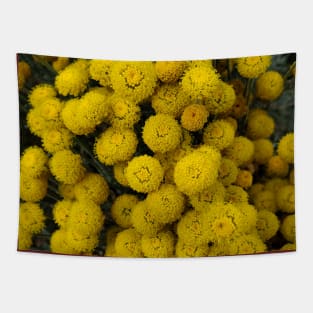 Yellow Flower Bunch Photography My Tapestry