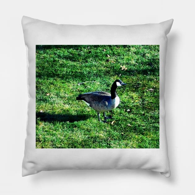 Goose Fan Pillow by heyokamuse