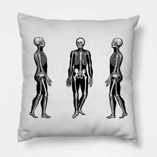 Side View Skeleton - Vintage Anatomy Pillow