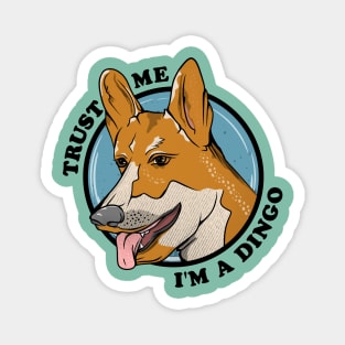 Dingo Magnet