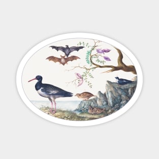 Bats, Quail, and Oystercatcher by the Water (1575–1580) Magnet