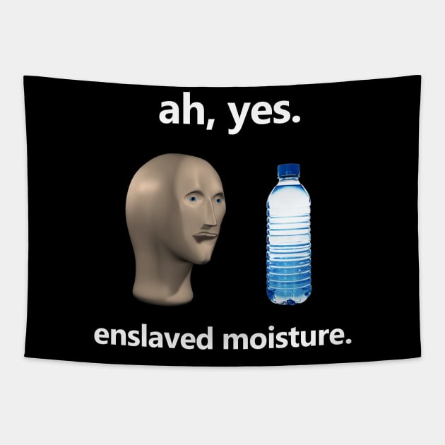 Ah Yes Enslaved Moisture T-shirt, Funny Dank Meme T-shirt, Meme Shirt, Surreal Meme T-shirt, Funny Meme Gift Tapestry by Hamza Froug