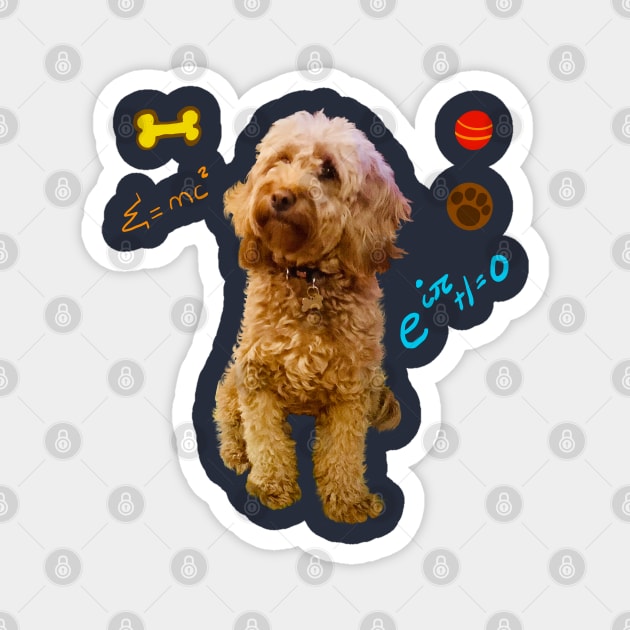 Doggy math with cute Cavoodle, Cavapoo, Cavalier King Charles Spaniel Magnet by Artonmytee