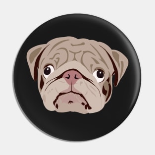 Pug looking silly and goofy Pin