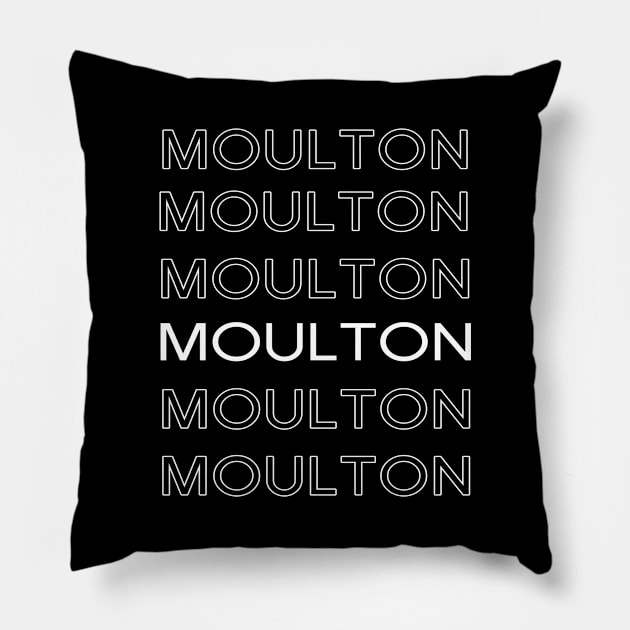 Seth Moulton 2020 US Presidential Candidate Election Pillow by familycuteycom