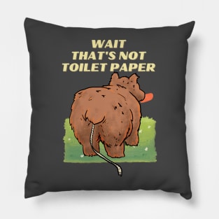 thats not toilet paper Pillow