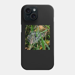 Beautiful spider web with drops of rain Phone Case