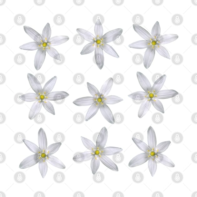 Star Of Bethlehem Pattern by DesignMore21