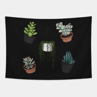 Cute Succulent Sticker Set 1 - Panda Plant, Bear Paws, Lavender Scallops, Blue Chalk Sticks, String of Pearls Tapestry