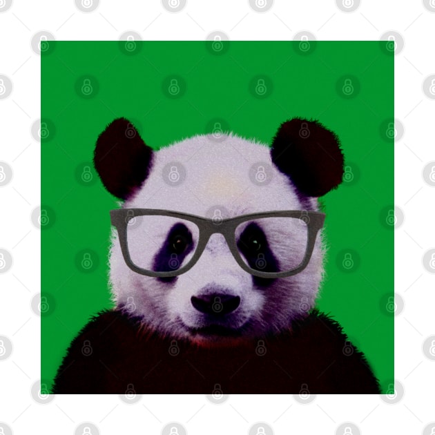 Geeky Nerd Panda in Green Background - Print / Home Decor / Wall Art / Poster / Gift / Birthday / Panda Lover Gift / Animal print by luigitarini