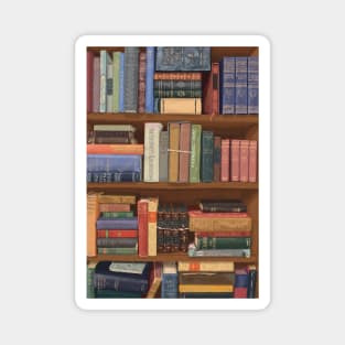 Vintage Bookshelf Magnet