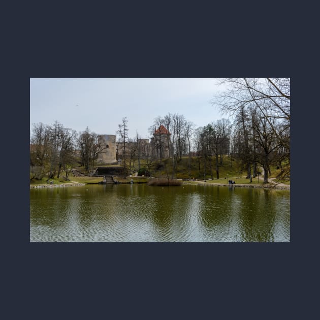 The pond and ruins of medieval castle by lena-maximova