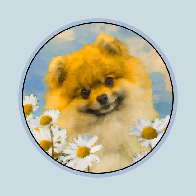 Pomeranian in Daisies (Orange) by Alpen Designs