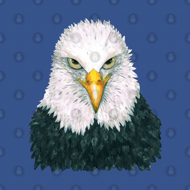 Bald eagle portrait by Bwiselizzy