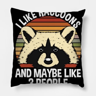 I Like Raccoons Pillow