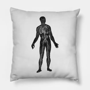 Lymphatic and Circulatory System - Vintage Anatomy Pillow