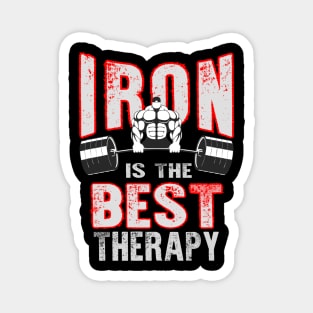 Iron is the Best Therapy Magnet