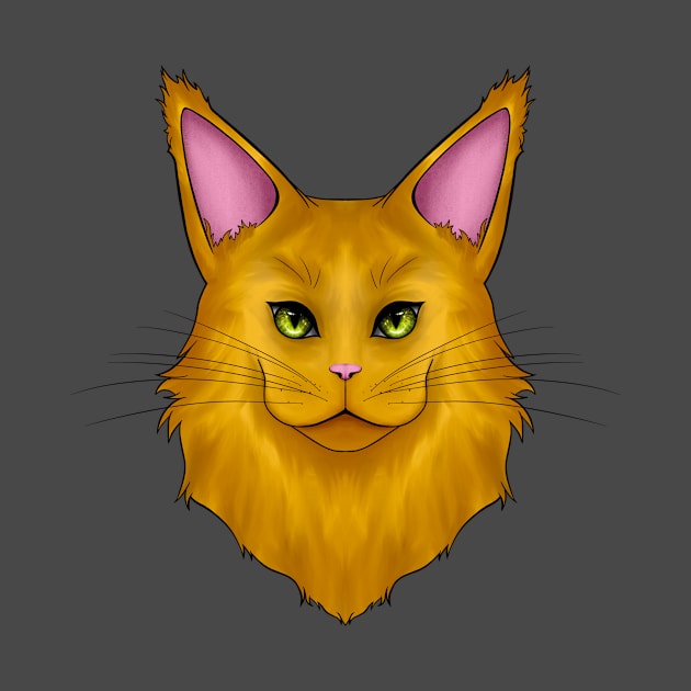 Orange Mainecoon Cat by Cat Club