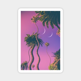 Palm Vibes Magnet
