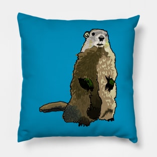 Groundhog Pillow