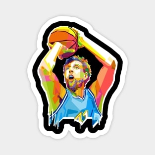 DIRK NOWITZKI Magnet