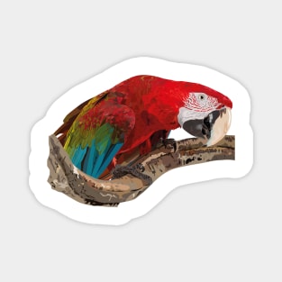 Red-and-green Macaw Magnet