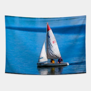 Sailing Tapestry