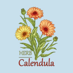 Herb Calendula-Herb plant Calendula-Spring flowers Calendula-Easter gift-Beautiful Herb flowers T-Shirt